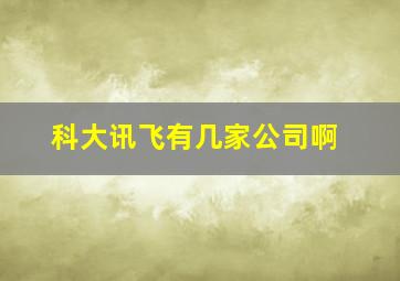 科大讯飞有几家公司啊