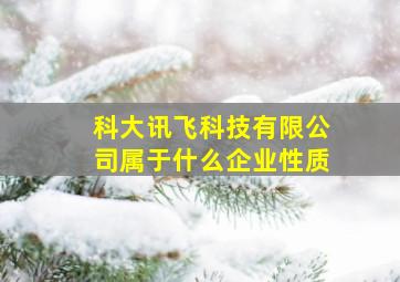 科大讯飞科技有限公司属于什么企业性质