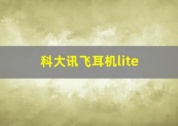 科大讯飞耳机lite