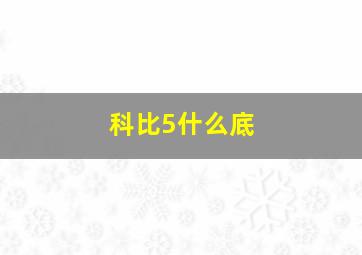 科比5什么底