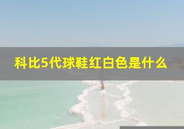 科比5代球鞋红白色是什么