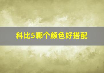 科比5哪个颜色好搭配