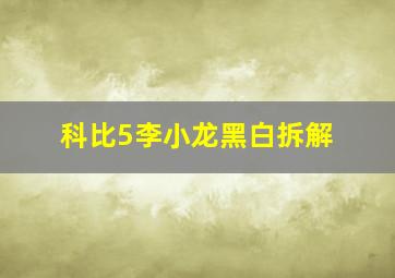 科比5李小龙黑白拆解