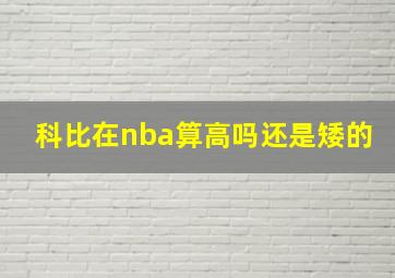 科比在nba算高吗还是矮的