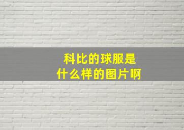 科比的球服是什么样的图片啊