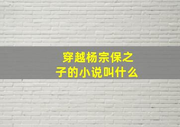 穿越杨宗保之子的小说叫什么