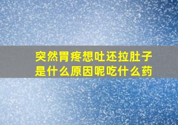 突然胃疼想吐还拉肚子是什么原因呢吃什么药