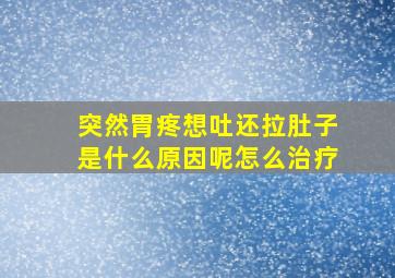 突然胃疼想吐还拉肚子是什么原因呢怎么治疗