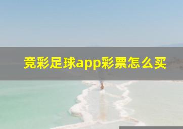 竞彩足球app彩票怎么买