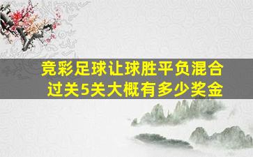 竞彩足球让球胜平负混合过关5关大概有多少奖金