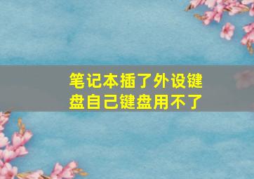 笔记本插了外设键盘自己键盘用不了