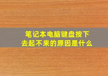 笔记本电脑键盘按下去起不来的原因是什么