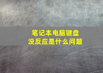 笔记本电脑键盘没反应是什么问题