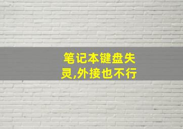 笔记本键盘失灵,外接也不行