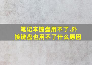 笔记本键盘用不了,外接键盘也用不了什么原因