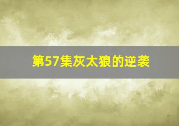 第57集灰太狼的逆袭