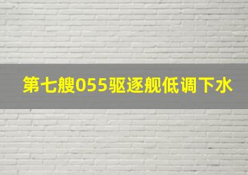 第七艘055驱逐舰低调下水