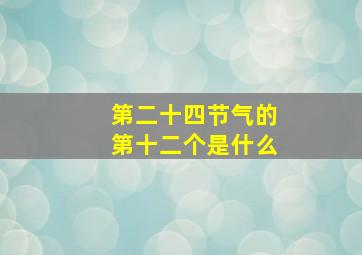 第二十四节气的第十二个是什么