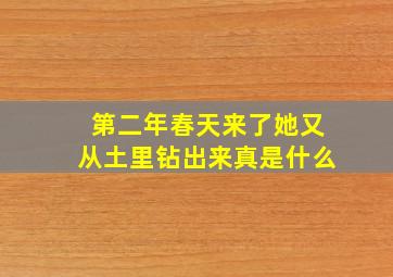 第二年春天来了她又从土里钻出来真是什么