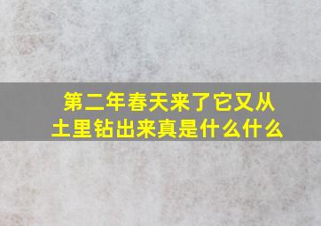 第二年春天来了它又从土里钻出来真是什么什么