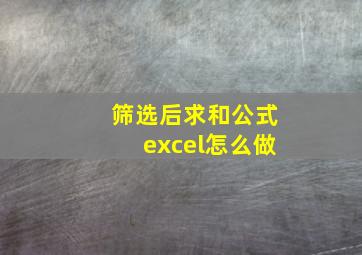 筛选后求和公式excel怎么做