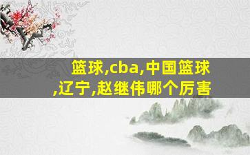 篮球,cba,中国篮球,辽宁,赵继伟哪个厉害