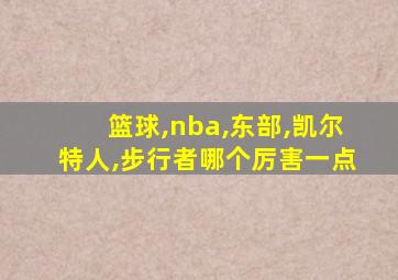 篮球,nba,东部,凯尔特人,步行者哪个厉害一点