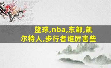 篮球,nba,东部,凯尔特人,步行者谁厉害些