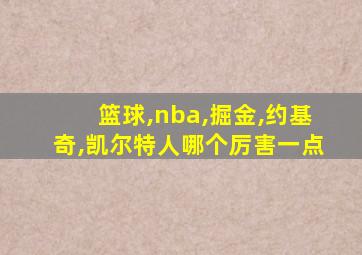 篮球,nba,掘金,约基奇,凯尔特人哪个厉害一点