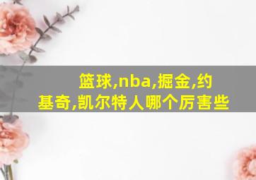 篮球,nba,掘金,约基奇,凯尔特人哪个厉害些