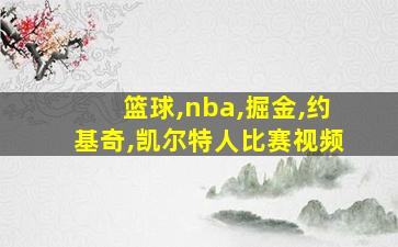 篮球,nba,掘金,约基奇,凯尔特人比赛视频