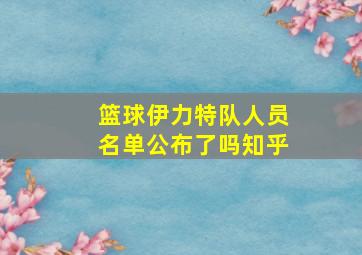 篮球伊力特队人员名单公布了吗知乎