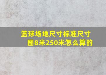 篮球场地尺寸标准尺寸图8米250米怎么算的