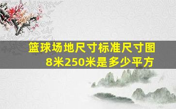 篮球场地尺寸标准尺寸图8米250米是多少平方