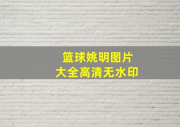 篮球姚明图片大全高清无水印