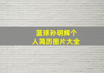 篮球孙明辉个人简历图片大全