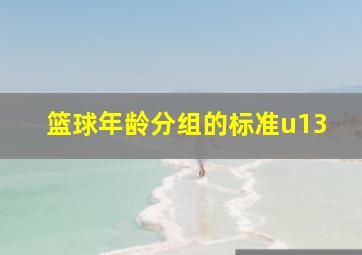 篮球年龄分组的标准u13