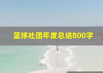 篮球社团年度总结800字