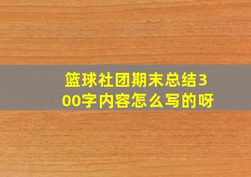 篮球社团期末总结300字内容怎么写的呀