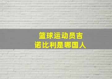 篮球运动员吉诺比利是哪国人