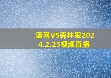 篮网VS森林狼2024.2.25视频直播