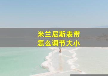 米兰尼斯表带怎么调节大小