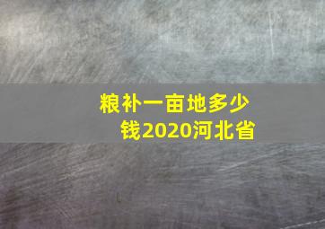 粮补一亩地多少钱2020河北省