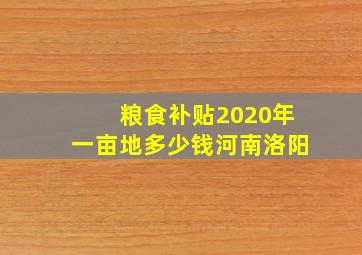 粮食补贴2020年一亩地多少钱河南洛阳