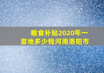 粮食补贴2020年一亩地多少钱河南洛阳市