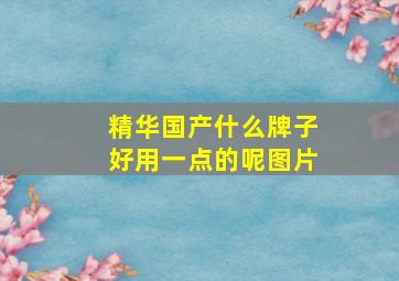 精华国产什么牌子好用一点的呢图片