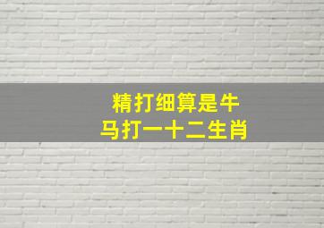 精打细算是牛马打一十二生肖