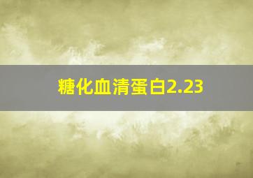 糖化血清蛋白2.23