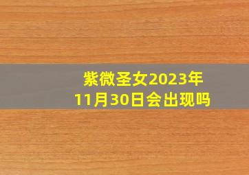 紫微圣女2023年11月30日会出现吗