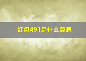 红包491是什么意思